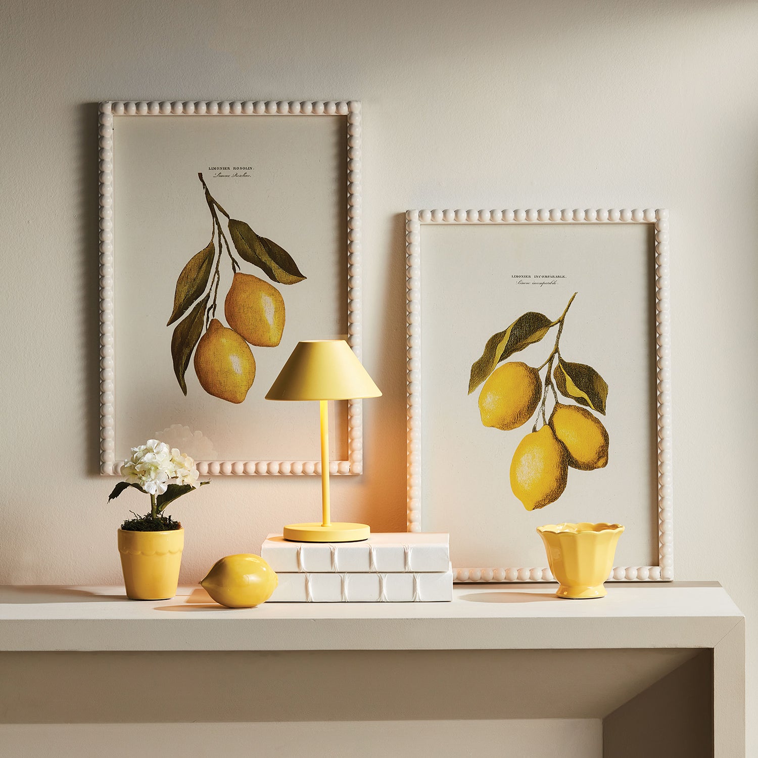 Alluna LED Cordless Lamp