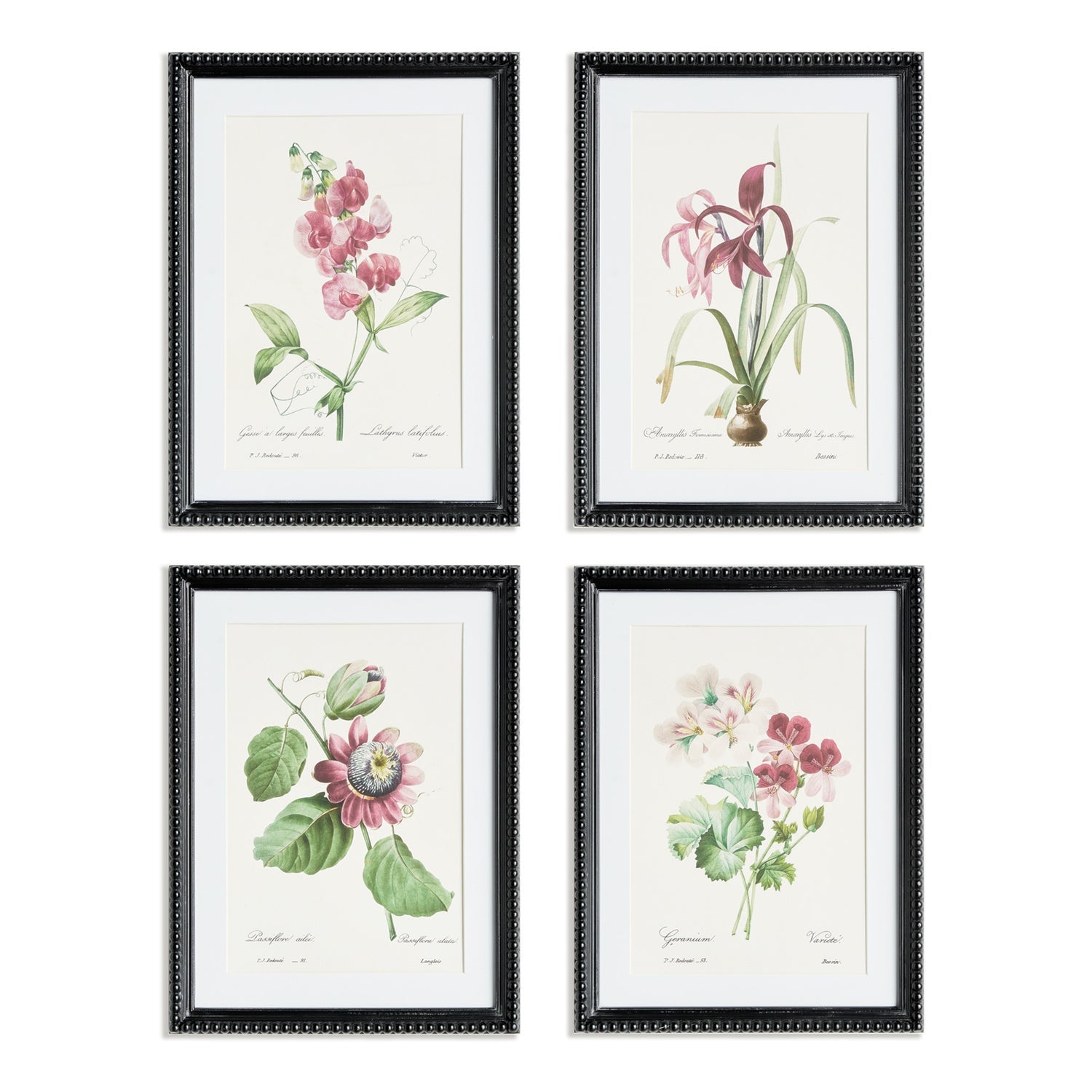 Blush Blooms Study Framed Art Set of 4