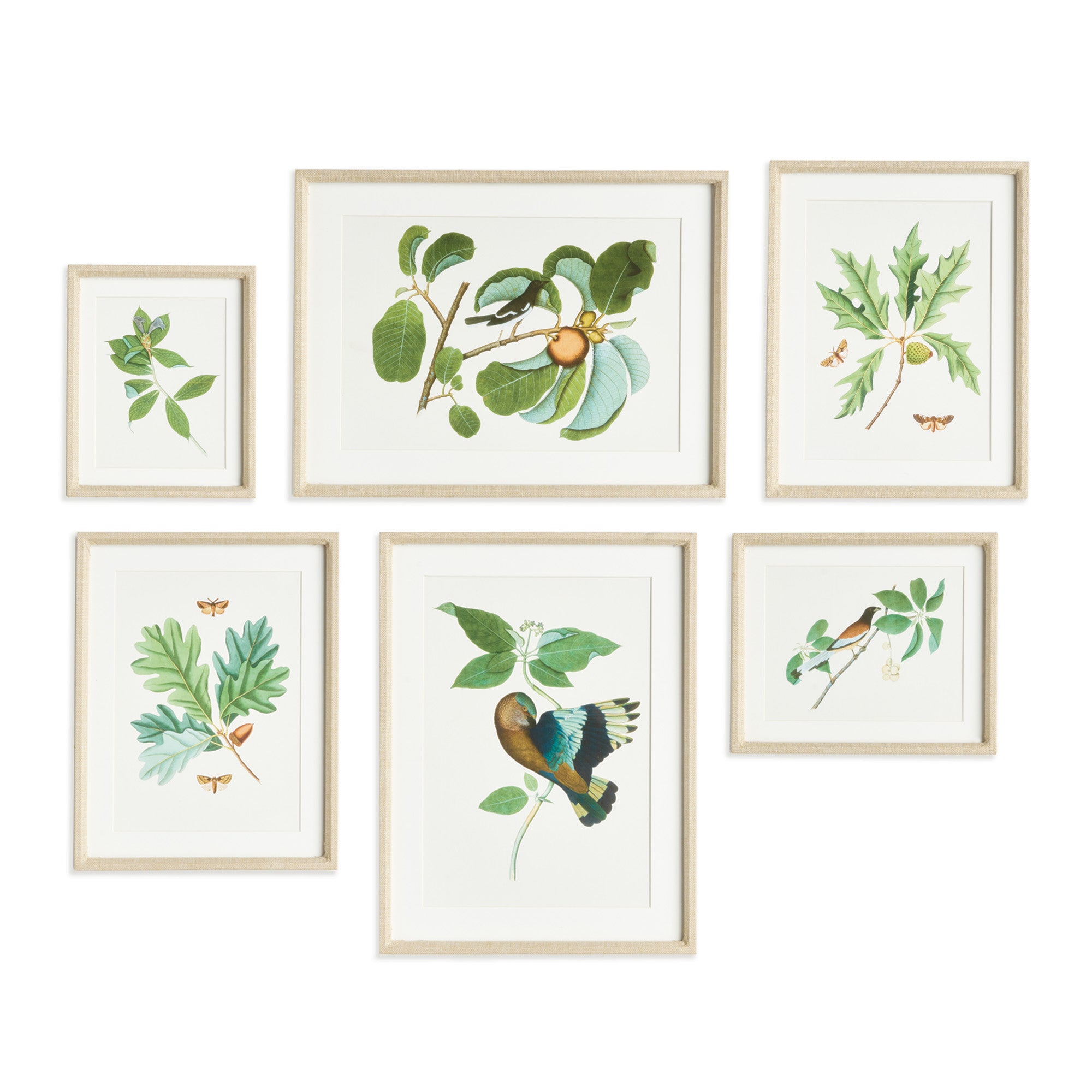 Wildlife Gallery Framed Art Set of 6