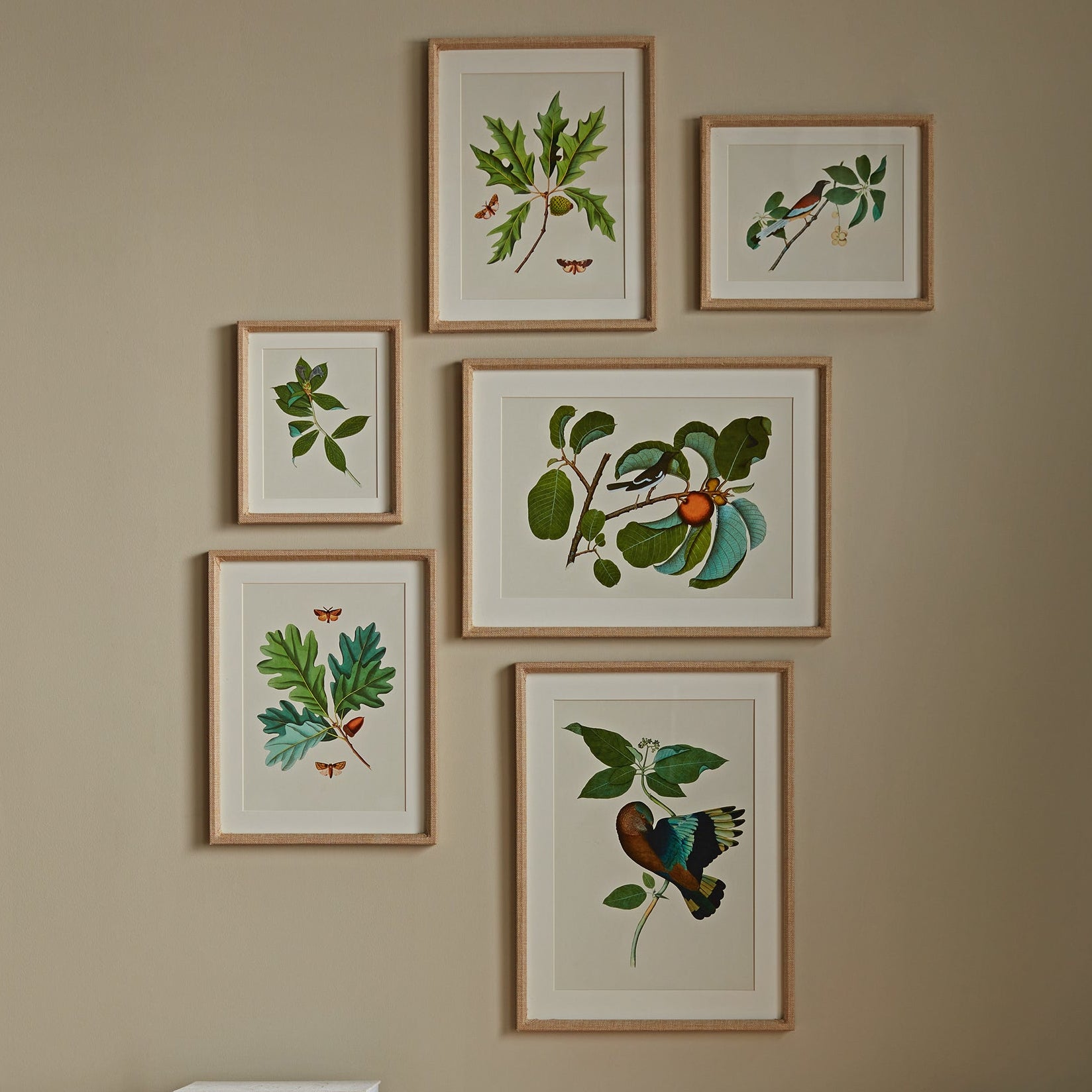 Wildlife Gallery Framed Art Set of 6