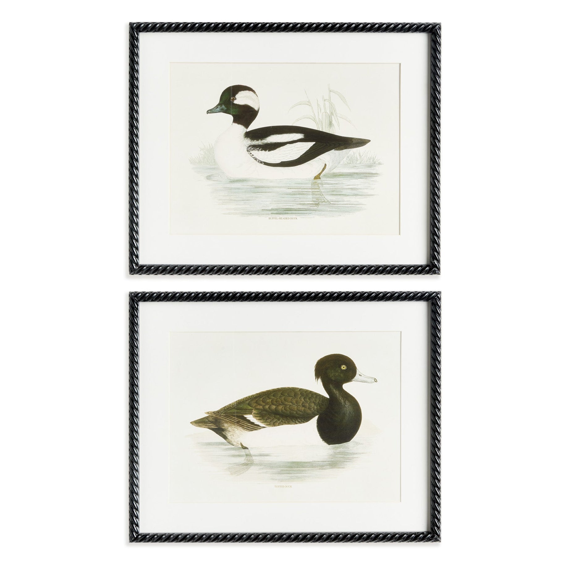 Wading Duck Print Framed Art Set of 2