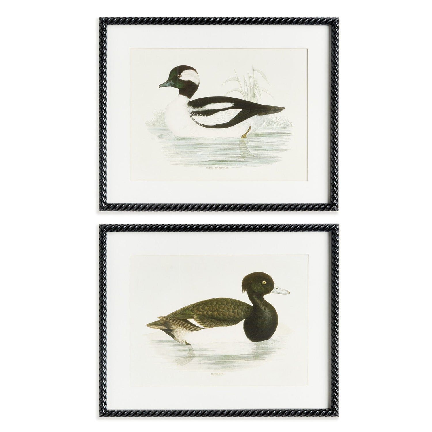 Wading Duck Print Framed Art Set of 2
