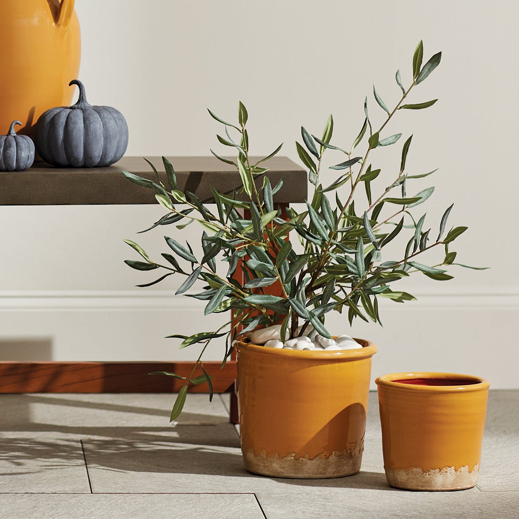 Maisha Pot Set of 2