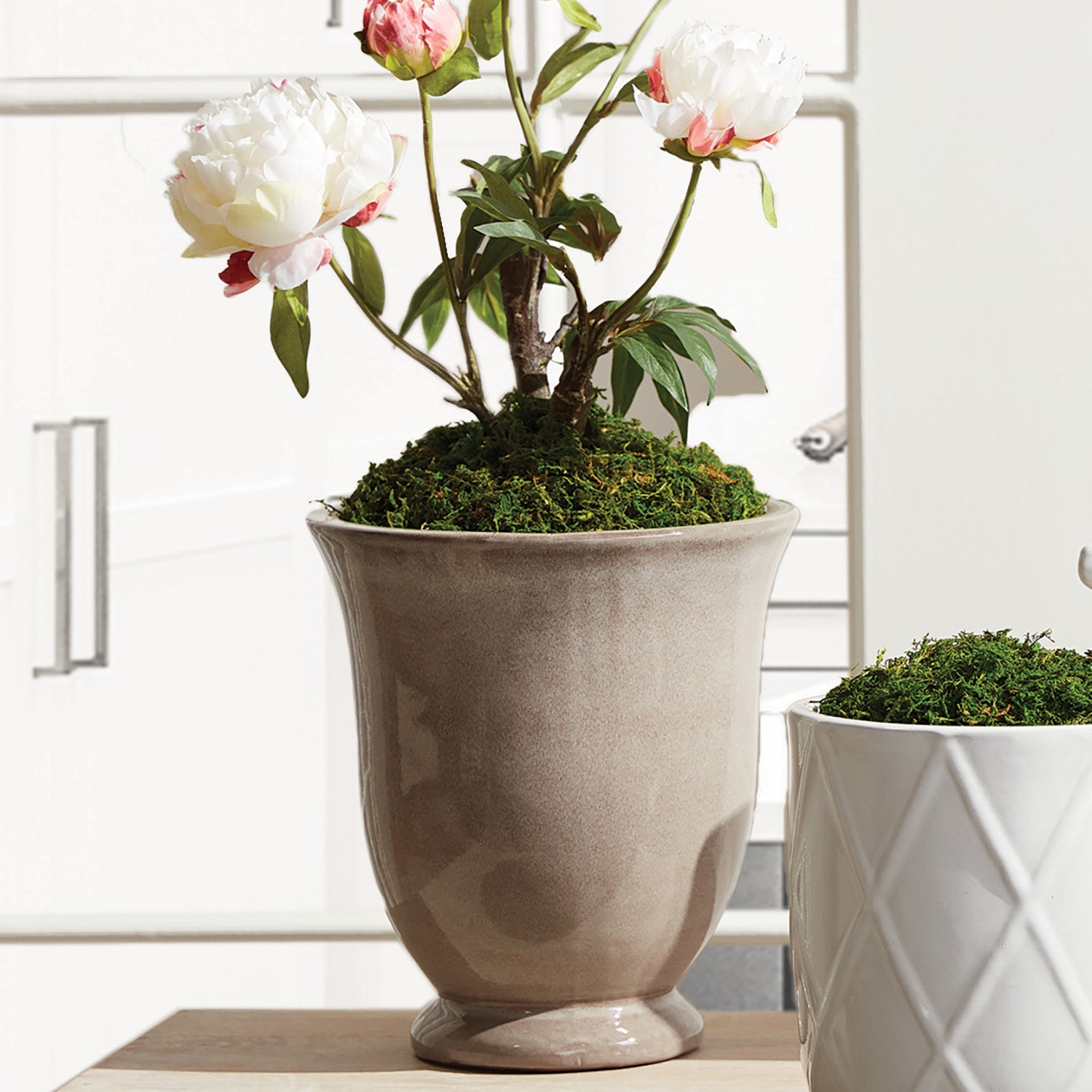 Gale Pots Set of 2