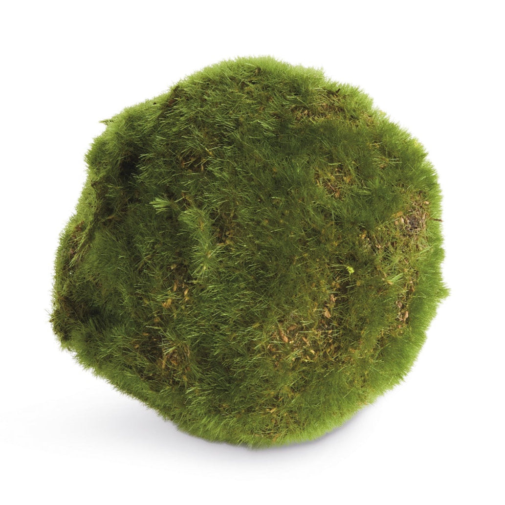 Moss 4in Orb Set of 6