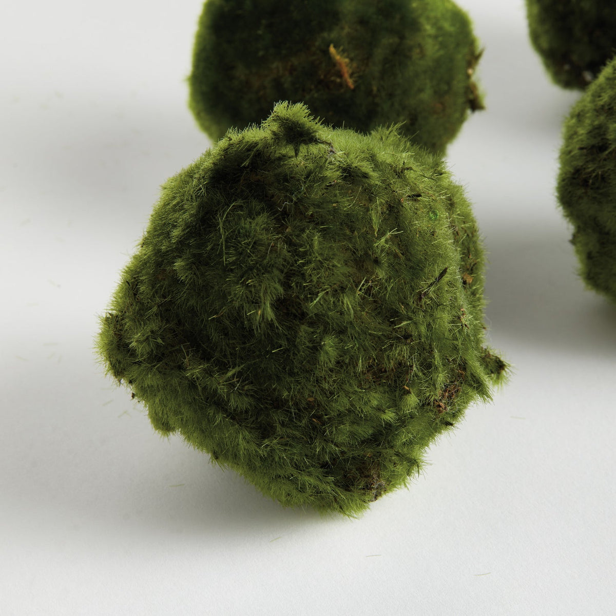 Moss 4in Orb Set of 6