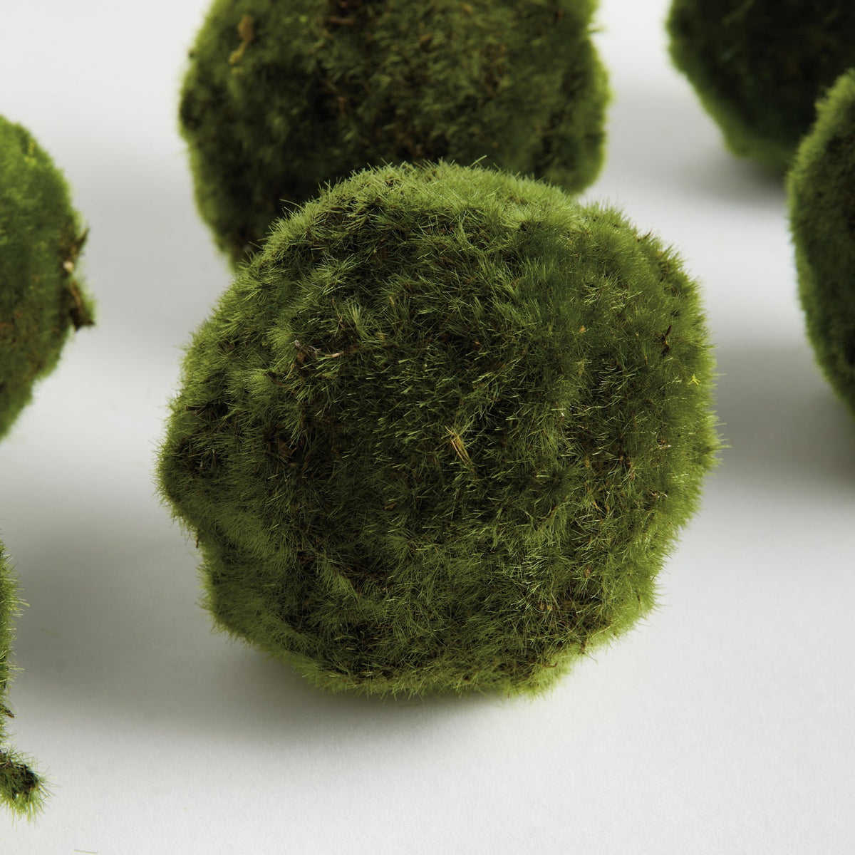 Moss 4in Orb Set of 6