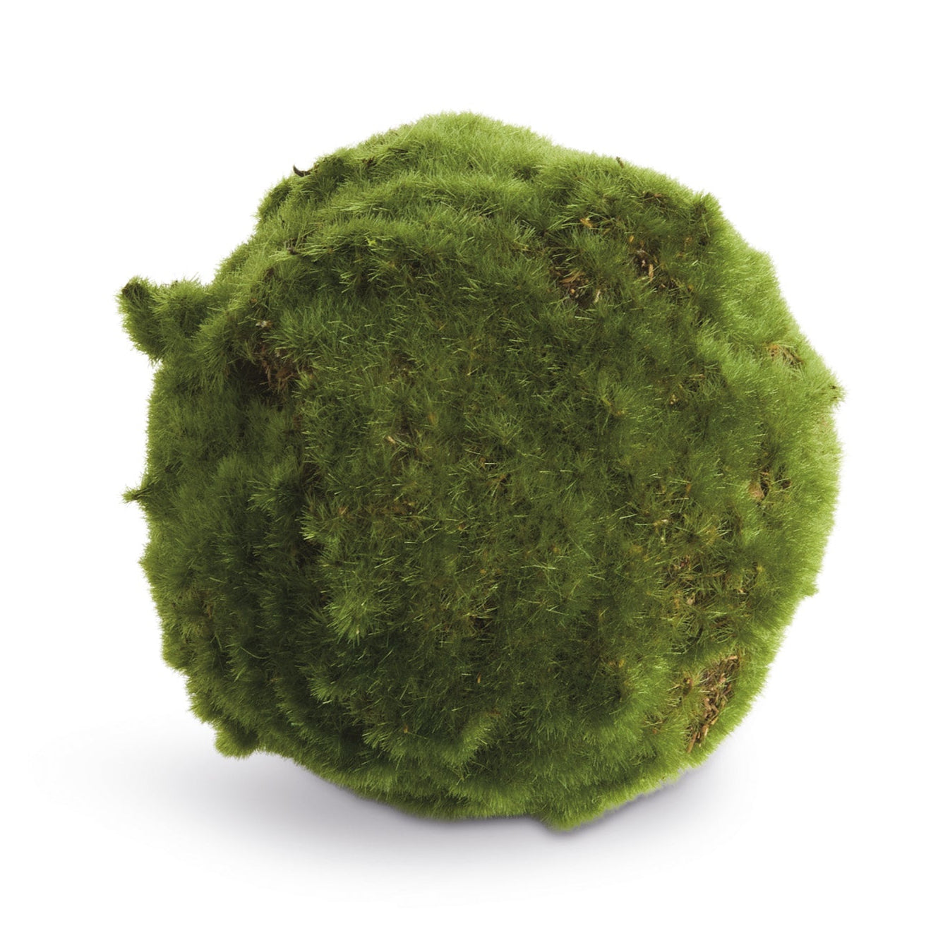 Moss 5in Orb Set of 3