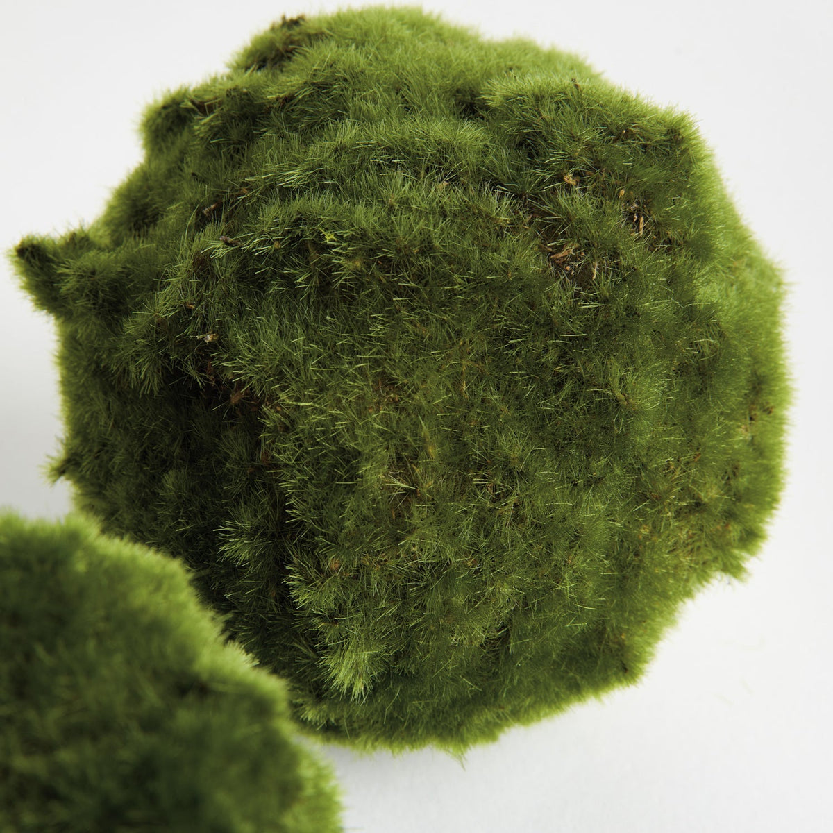 Moss 5in Orb Set of 3