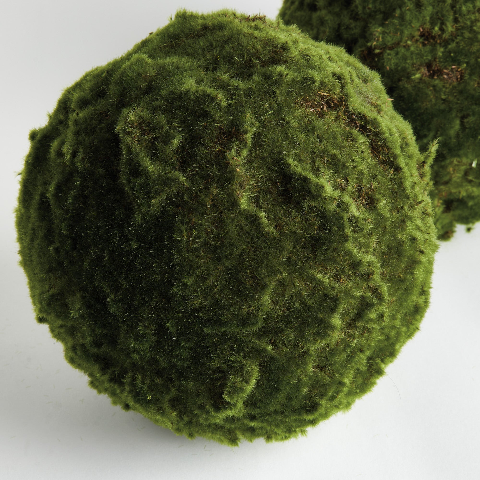 Moss 11in Orb Set of 2