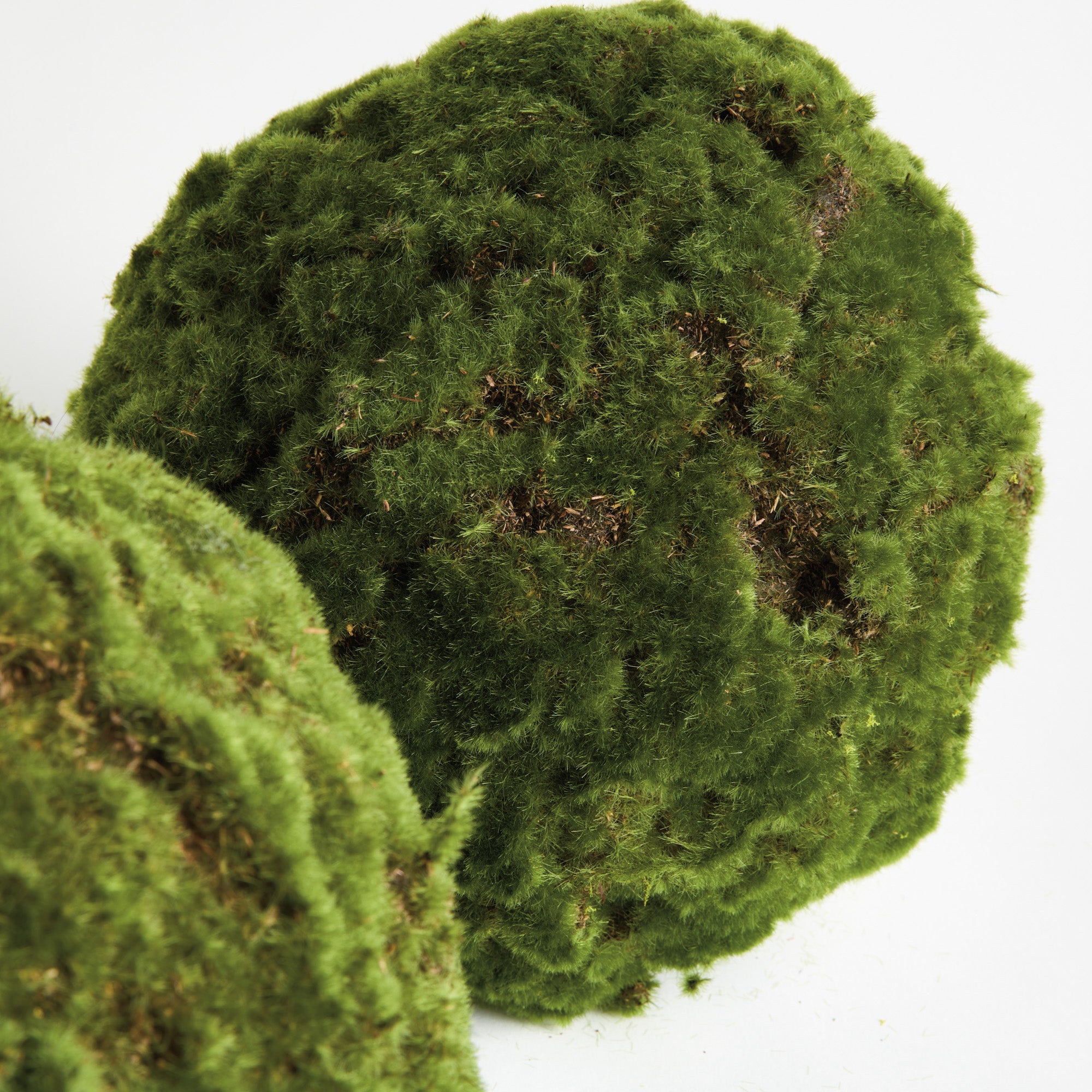 Moss 11in Orb Set of 2