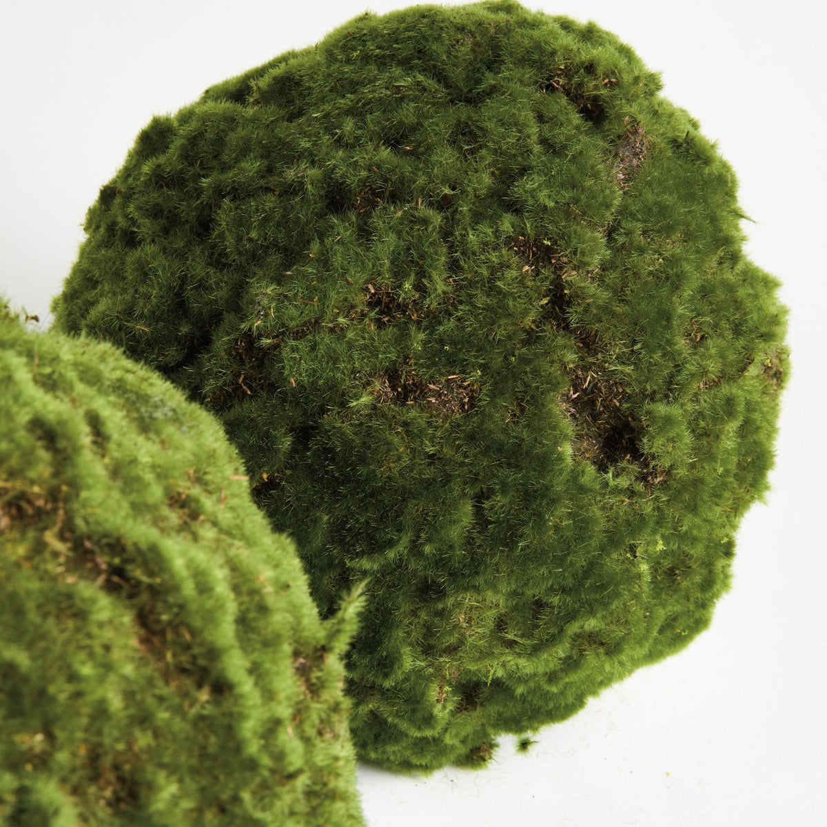 Moss 11in Orb Set of 2