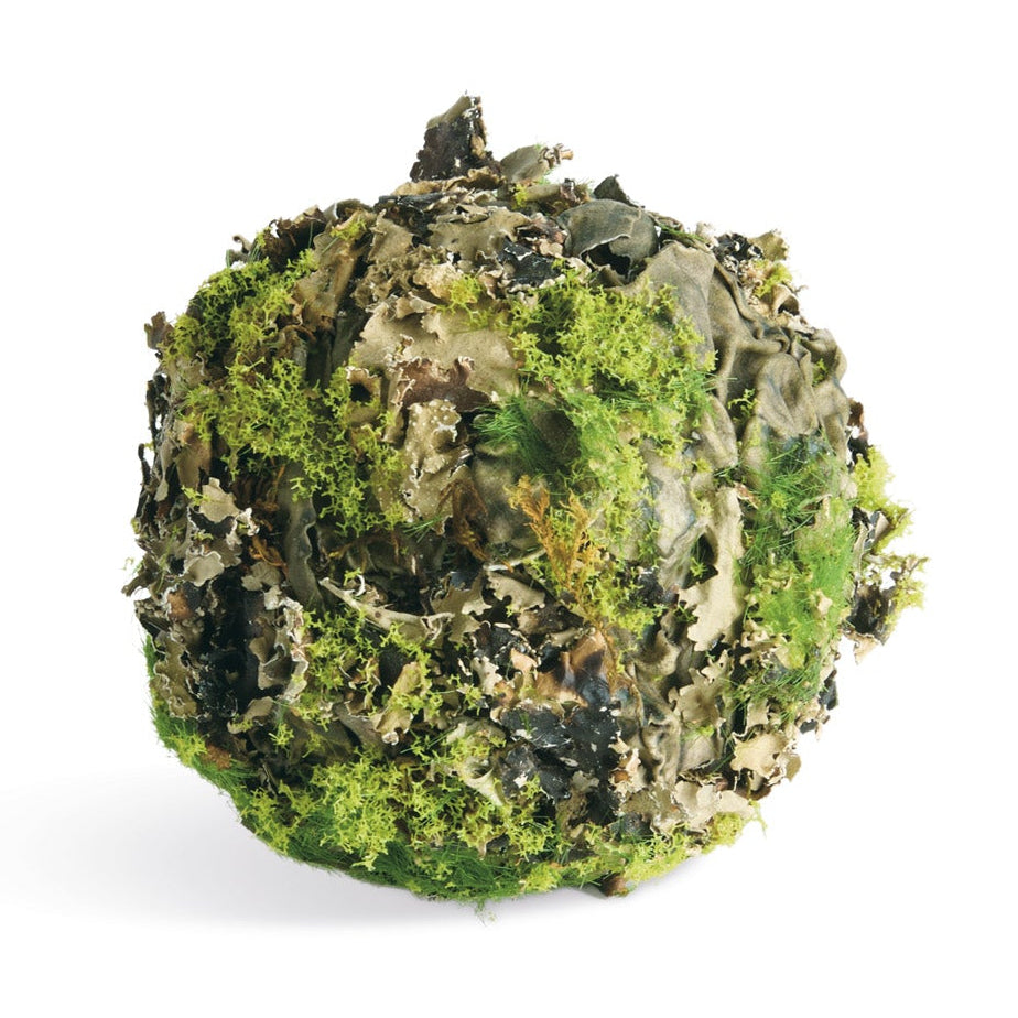 Mossy Lichen 3.5in Orb Set of 6