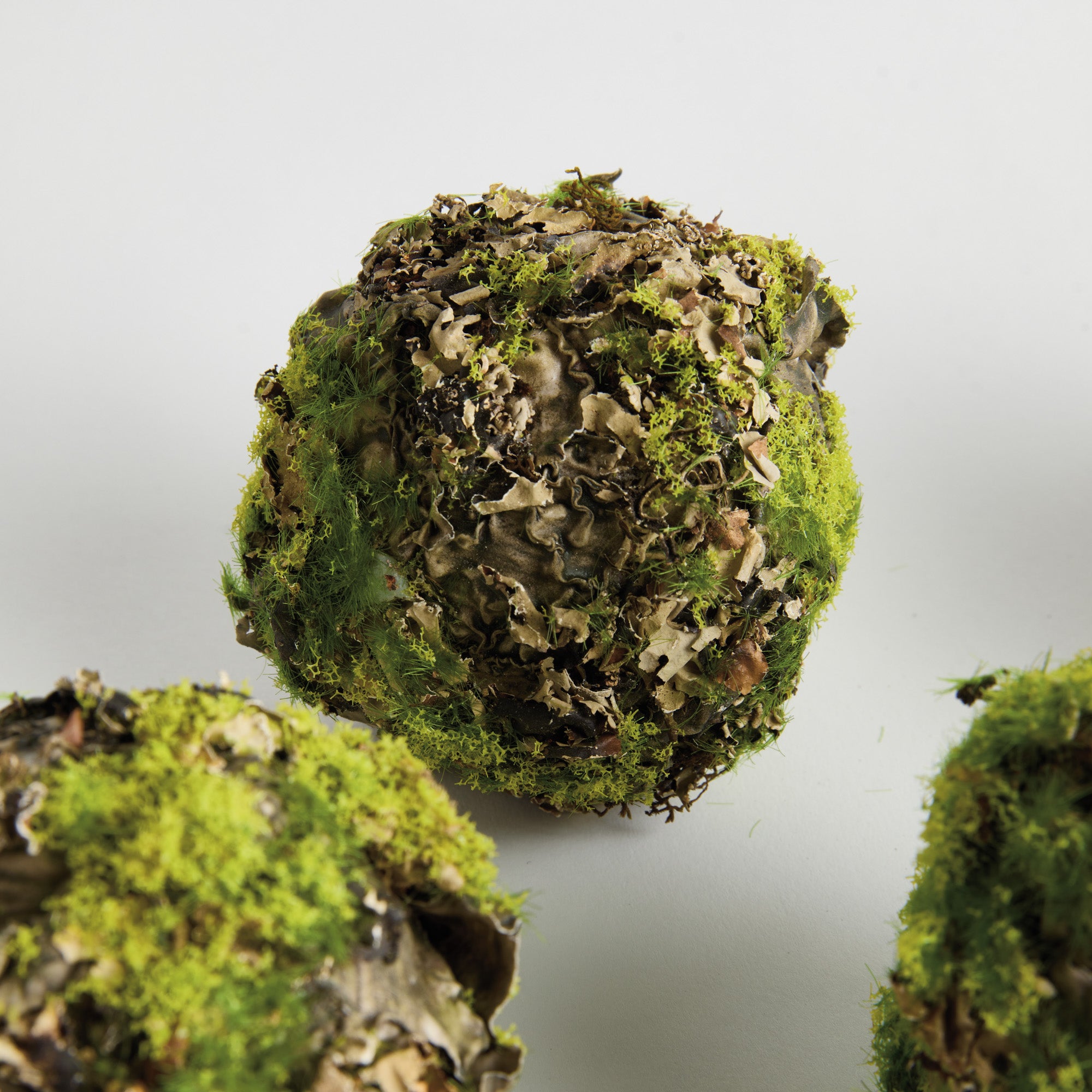 Mossy Lichen 3.5in Orb Set of 6