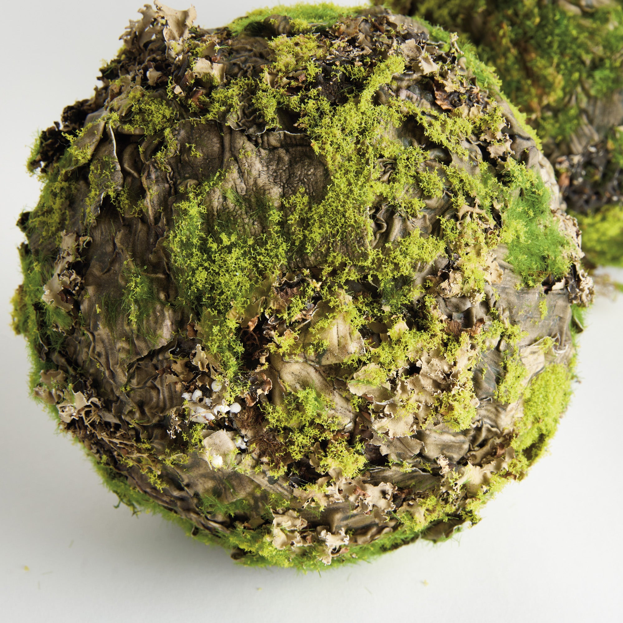 Mossy Lichen 8in Orb Set of 2