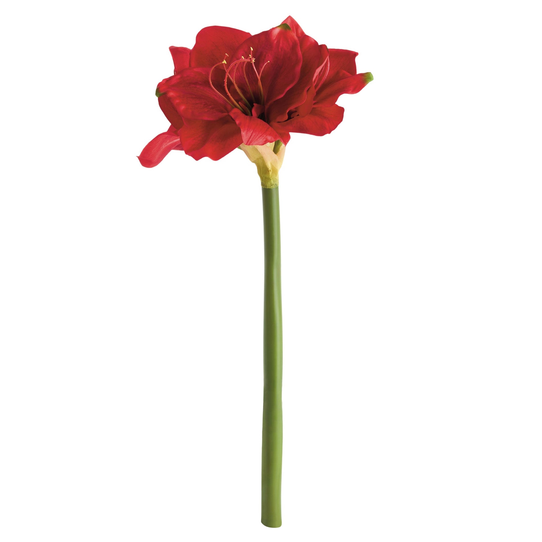 Amaryllis Red Faux Plant Stems Set of 2