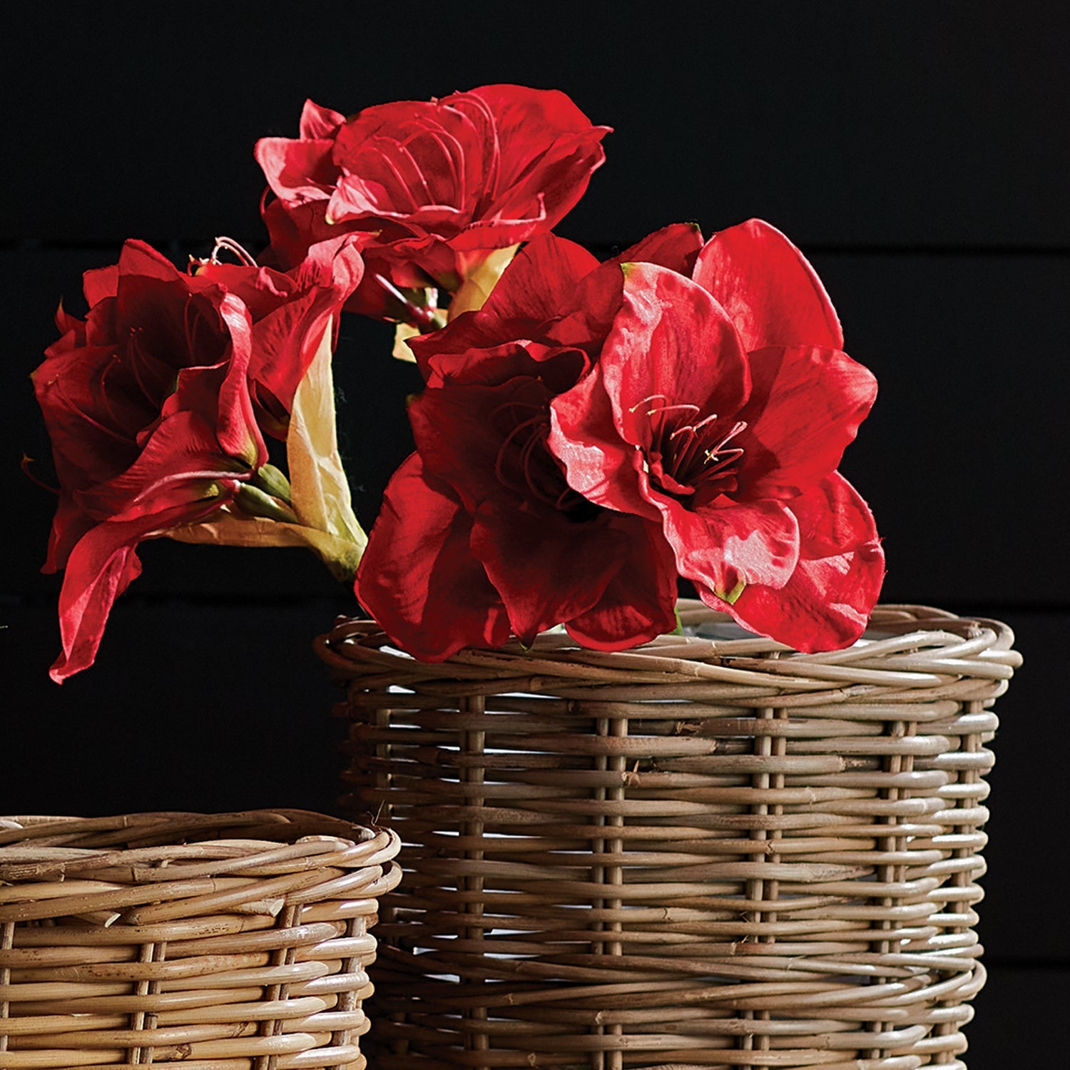 Amaryllis Red Faux Plant Stems Set of 2