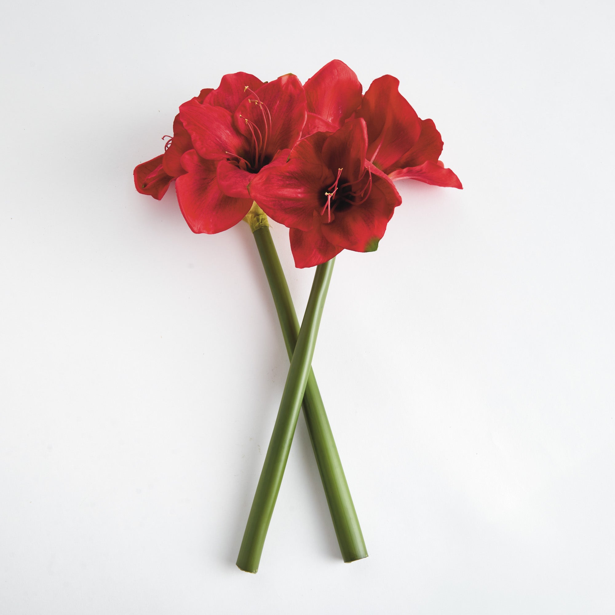 Amaryllis Red Faux Plant Stems Set of 2