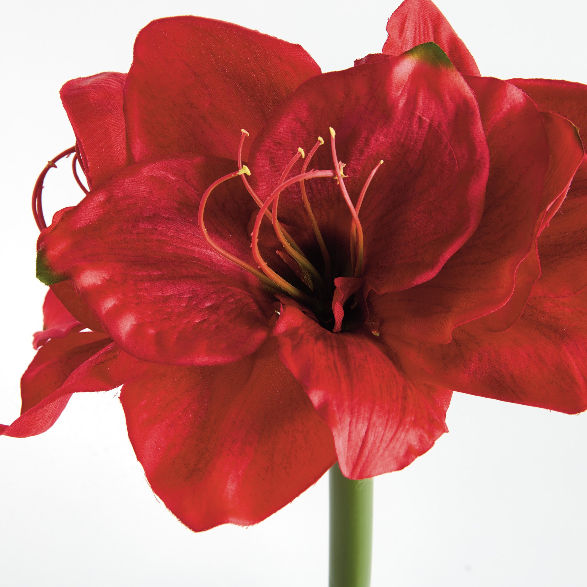 Amaryllis Red Faux Plant Stems Set of 2