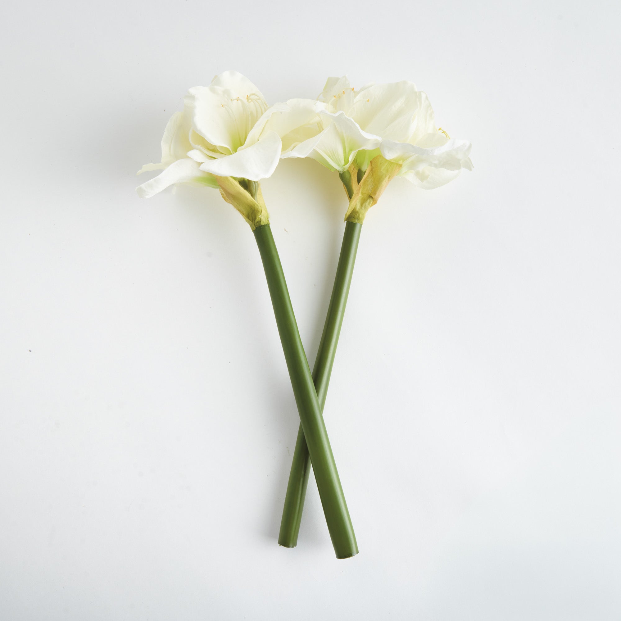 Amaryllis White Faux Plant Stem Set of 2