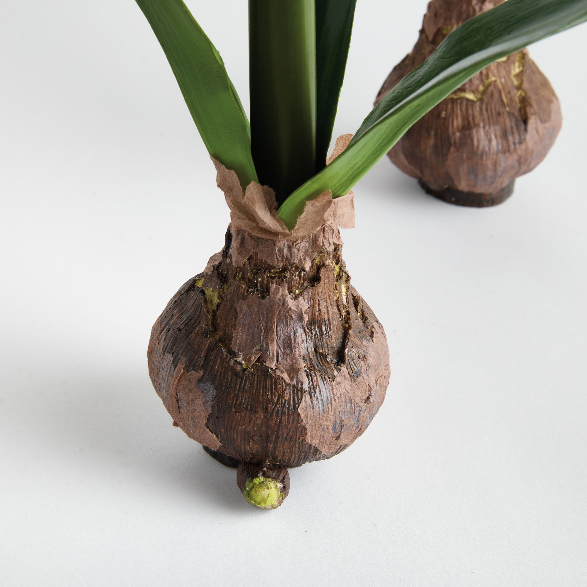 Amaryllis Red Bulb Faux Plant Set of 2