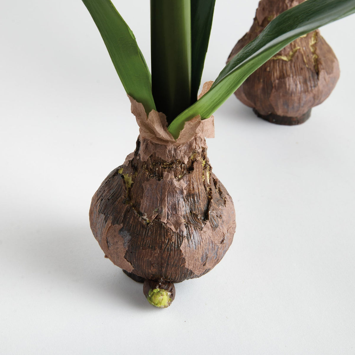 Amaryllis Red Bulb Faux Plant Set of 2