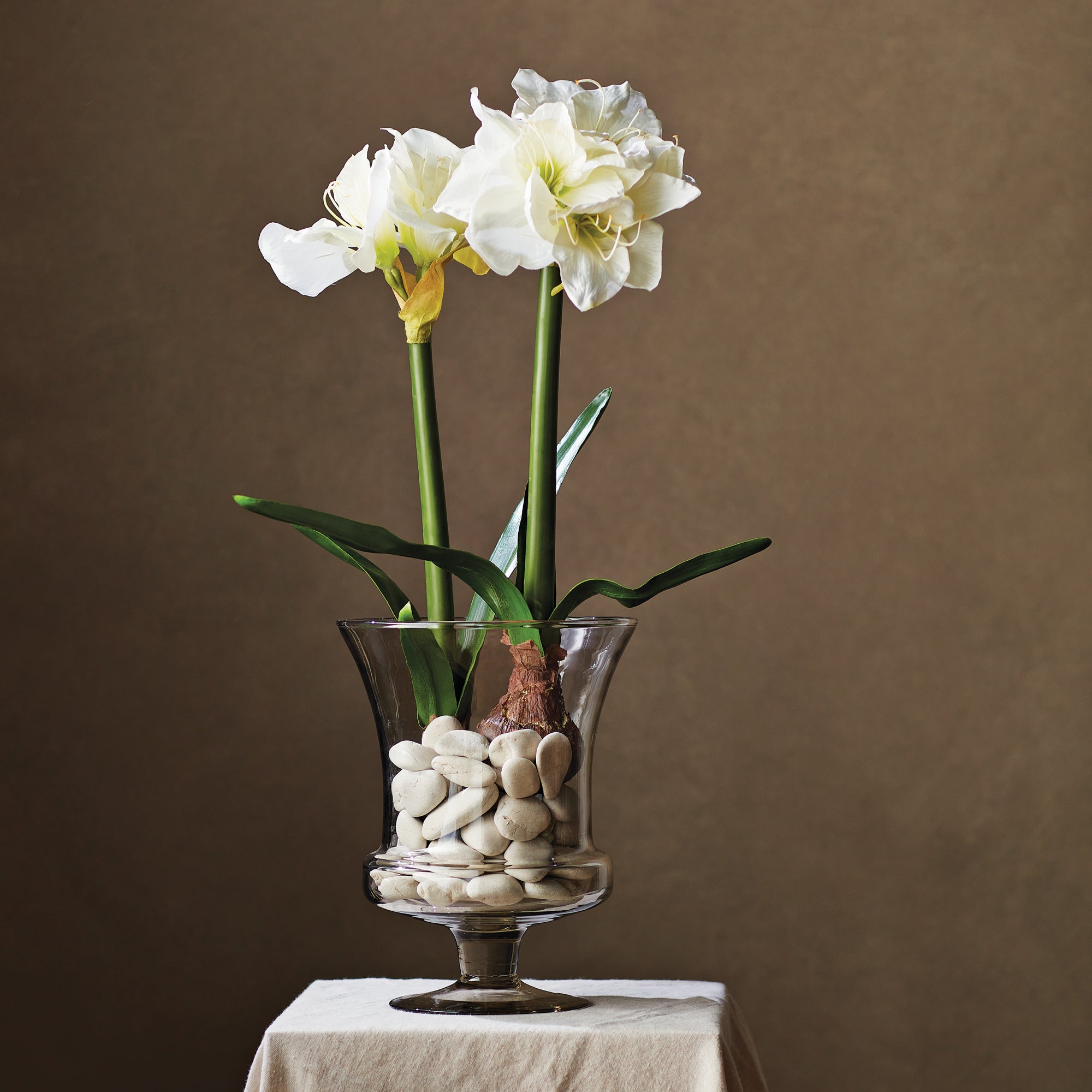 Amaryllis White Bulb Faux Plant Set of 2