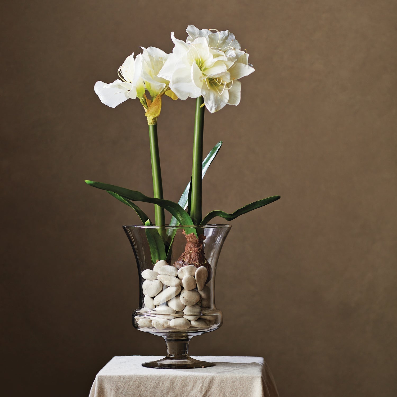 Amaryllis White Bulb Faux Plant Set of 2