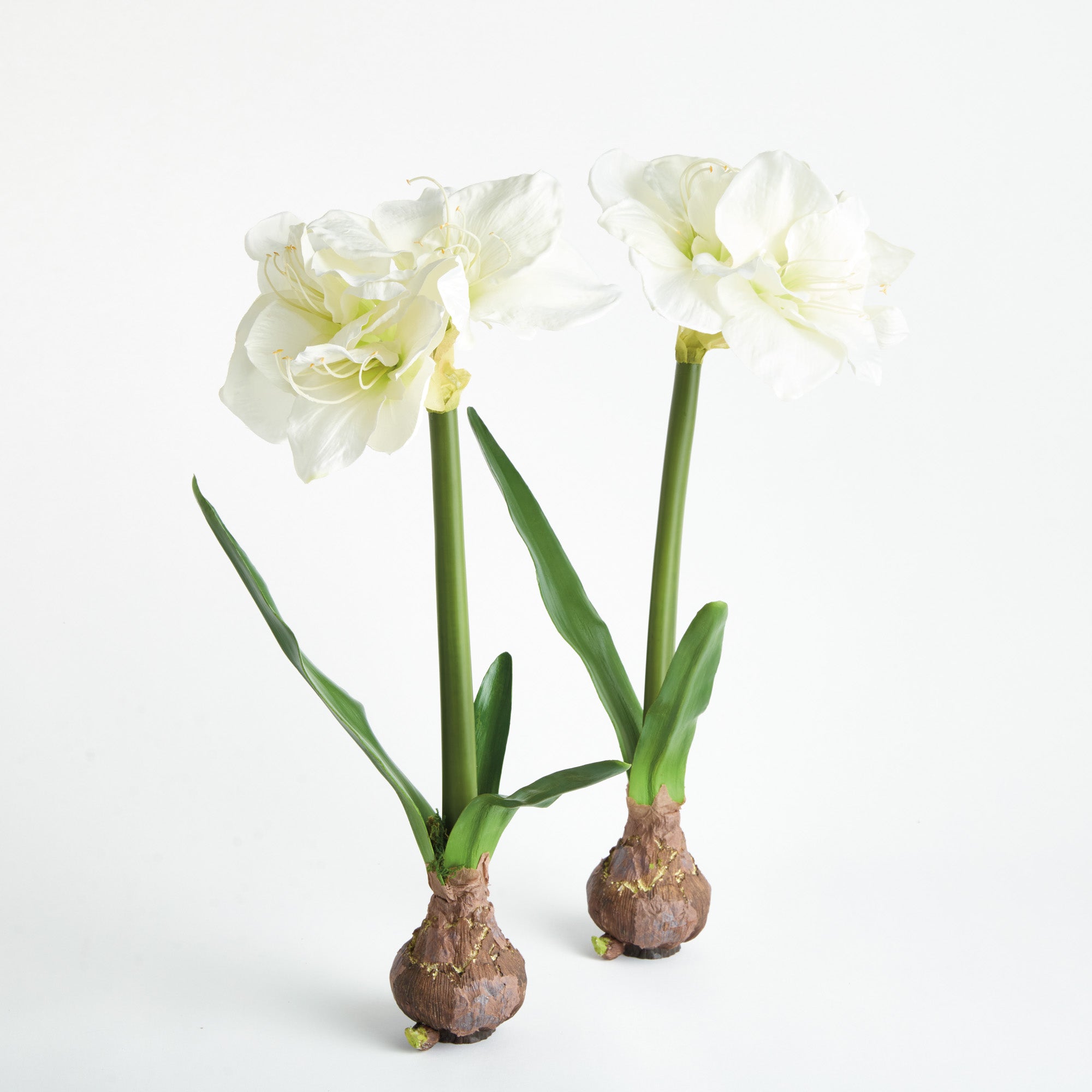 Amaryllis White Bulb Faux Plant Set of 2