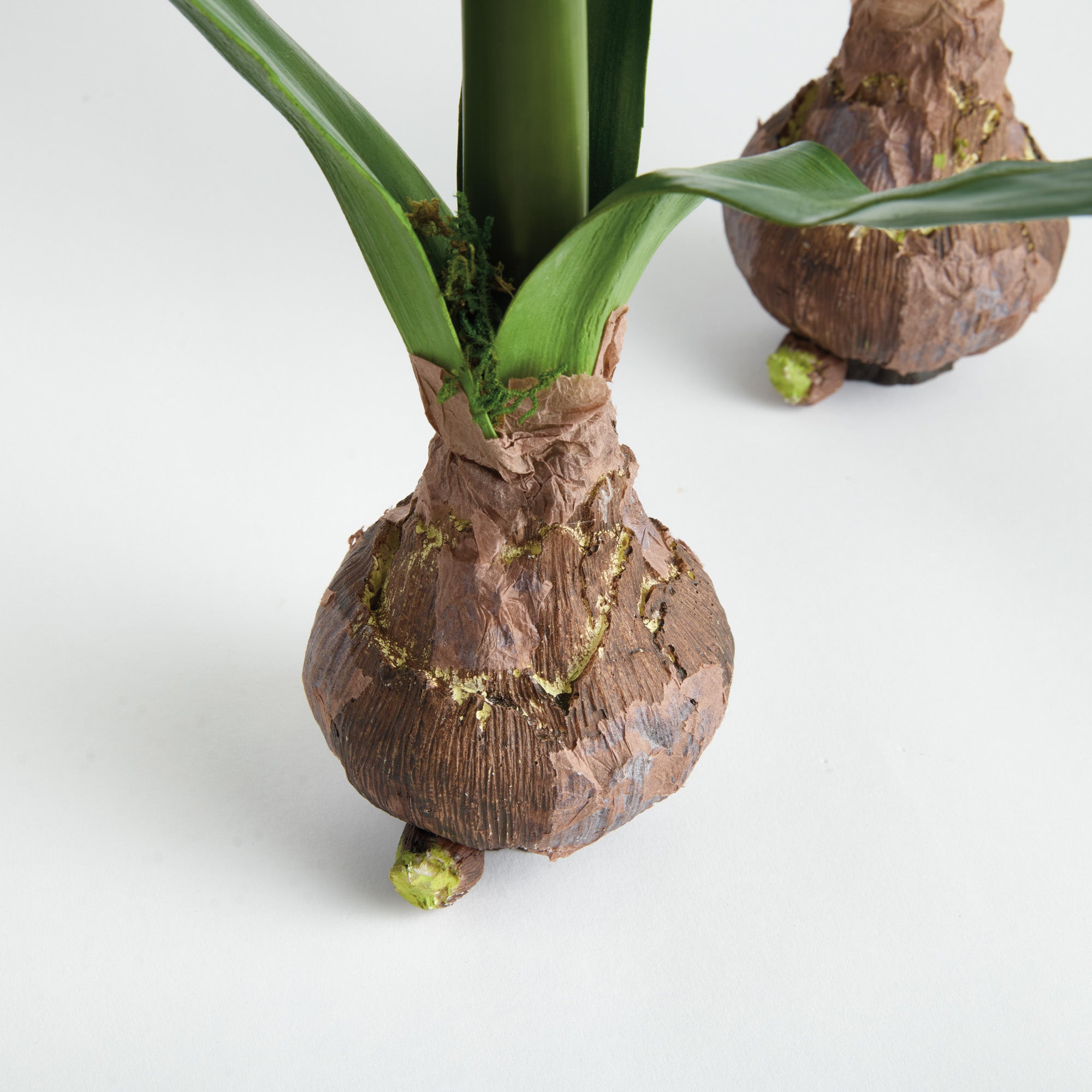 Amaryllis White Bulb Faux Plant Set of 2