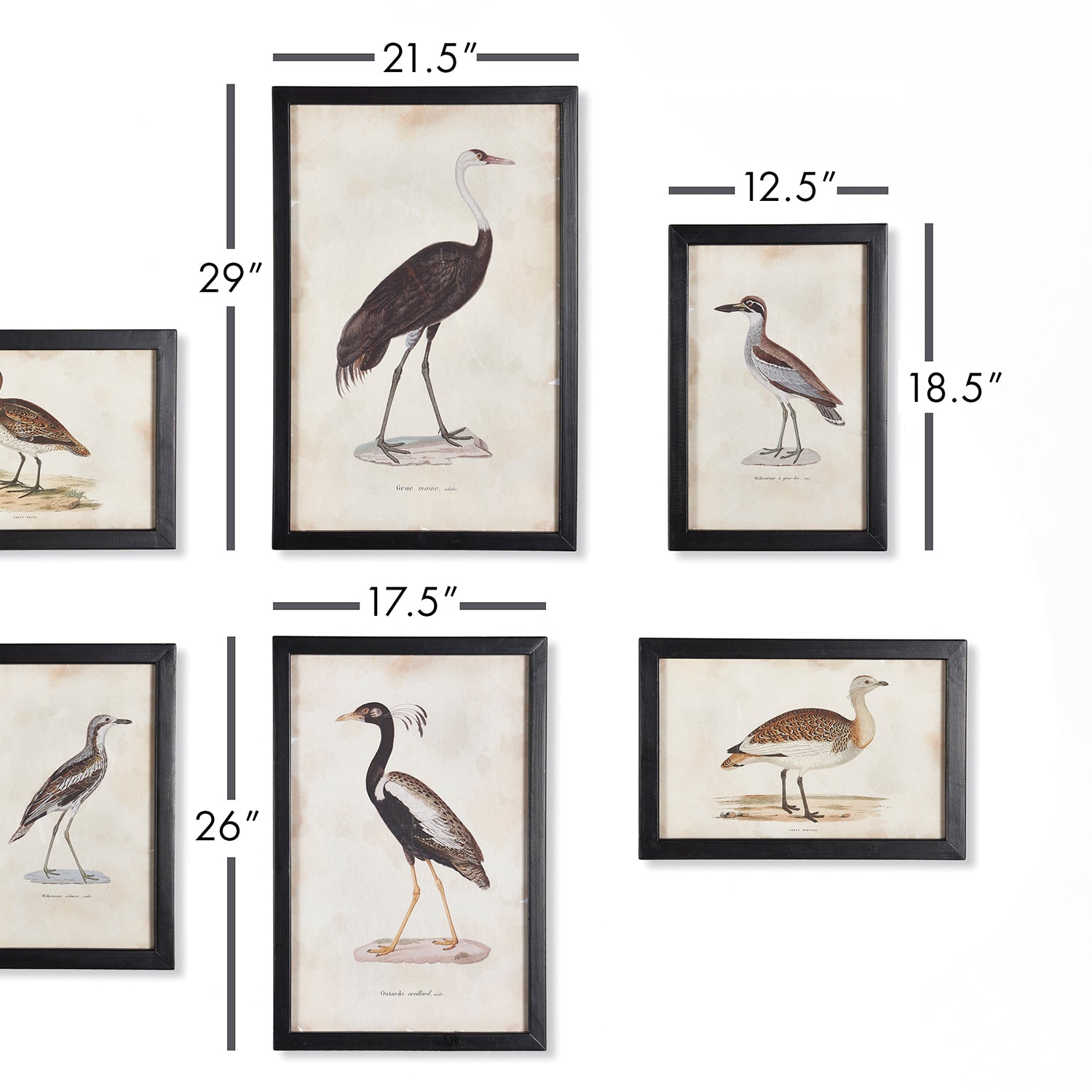 Waterfowl Gallery Wall Art Set of 6