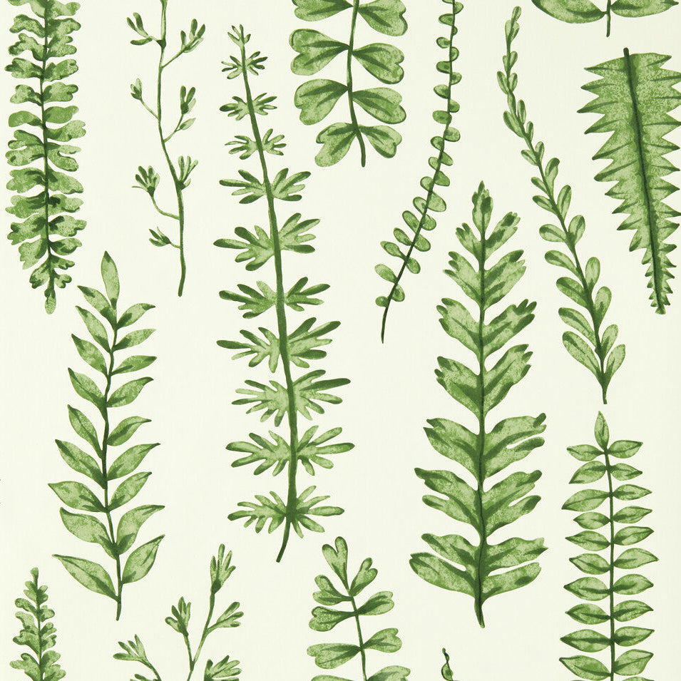 Scion x Kravet Ferns Juniper Wallpaper