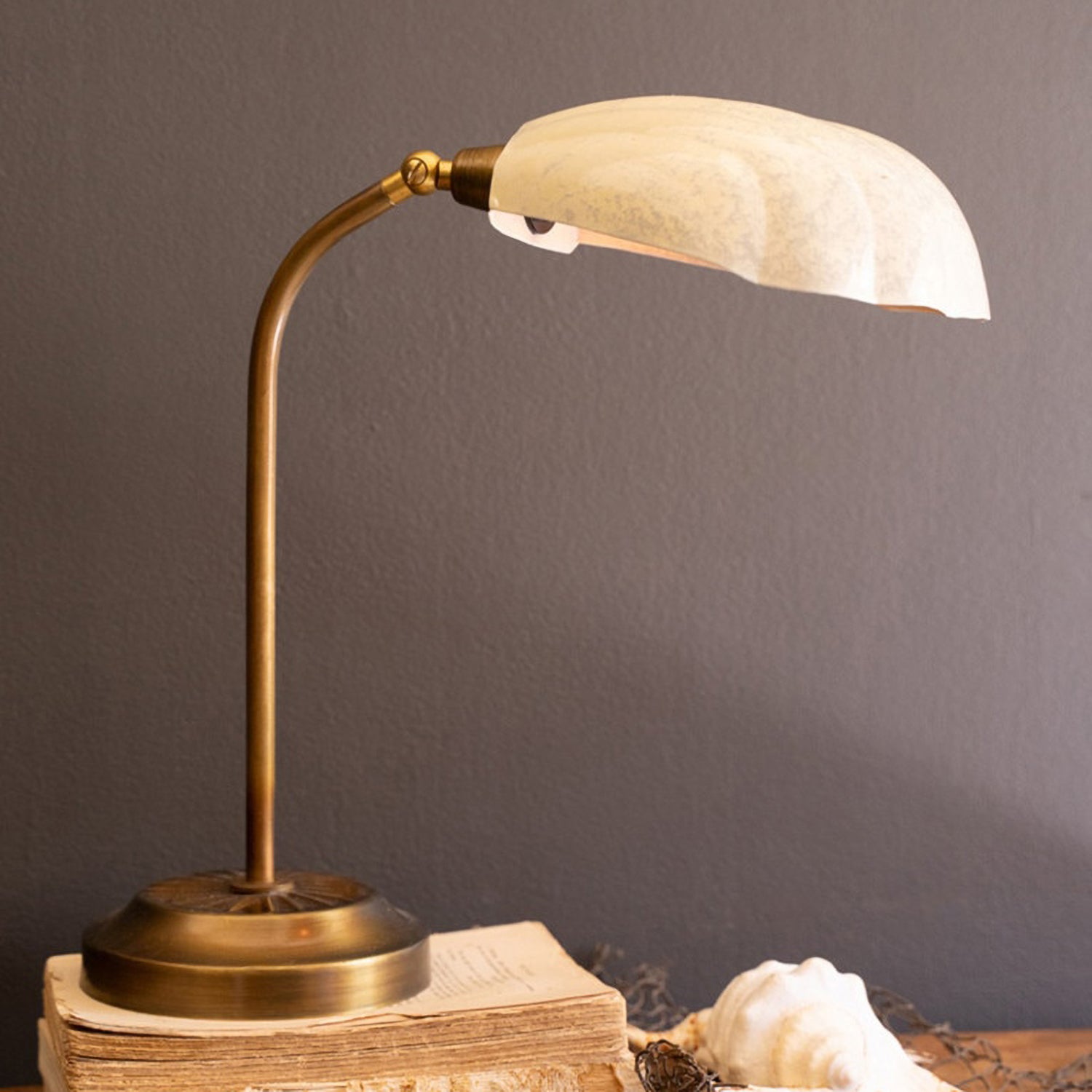 Shell Table Lamp