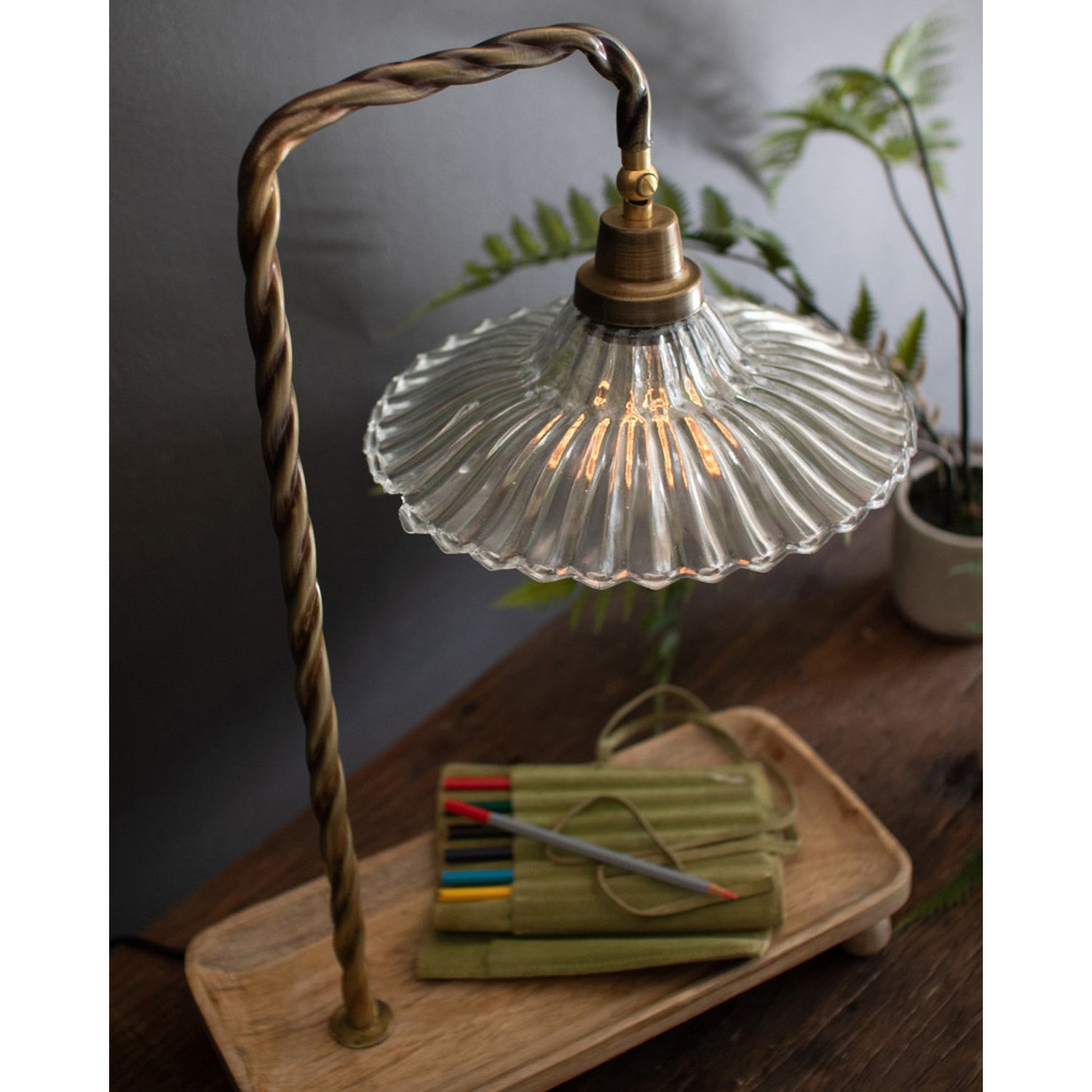 Twisted Gooseneck Table Lamp
