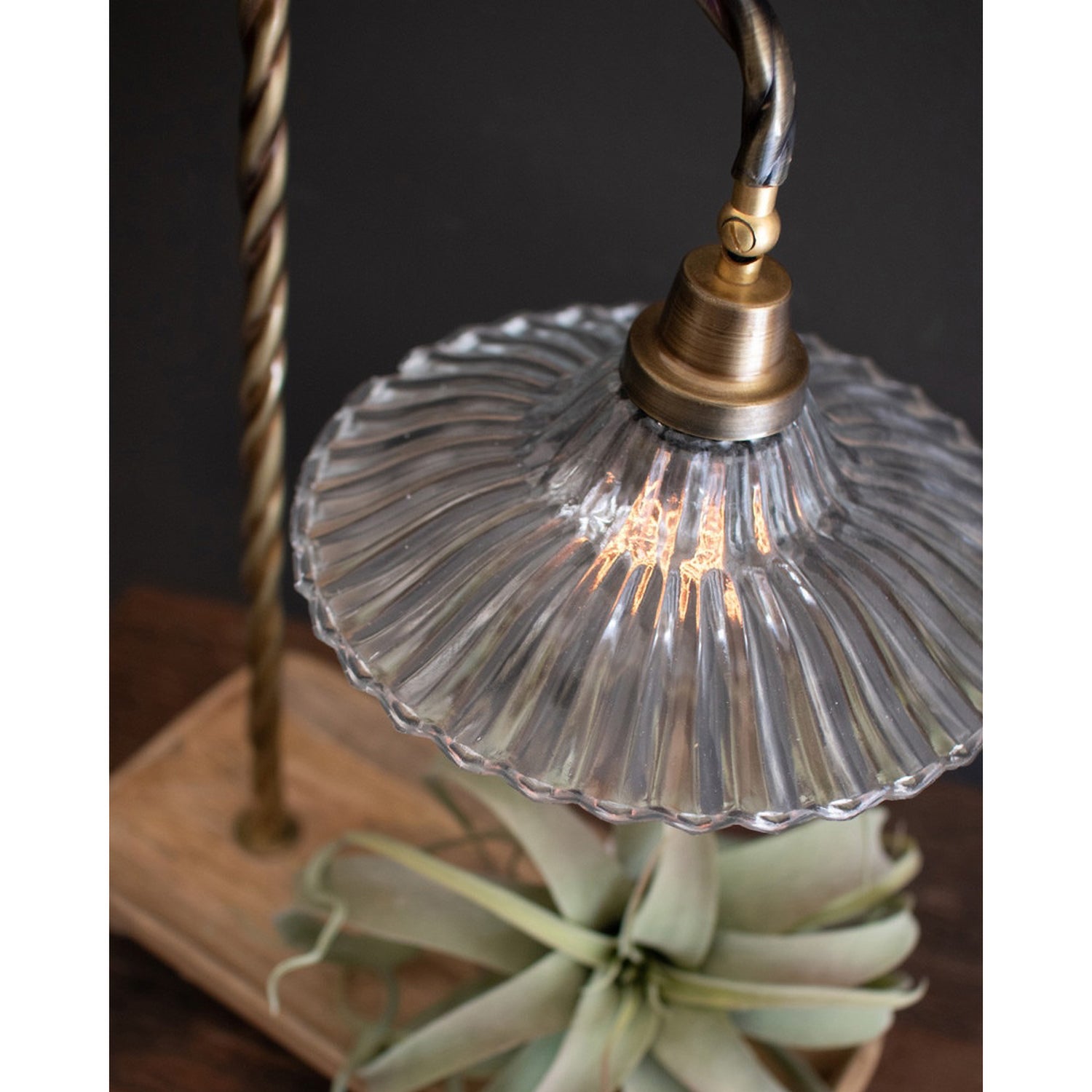 Twisted Gooseneck Table Lamp