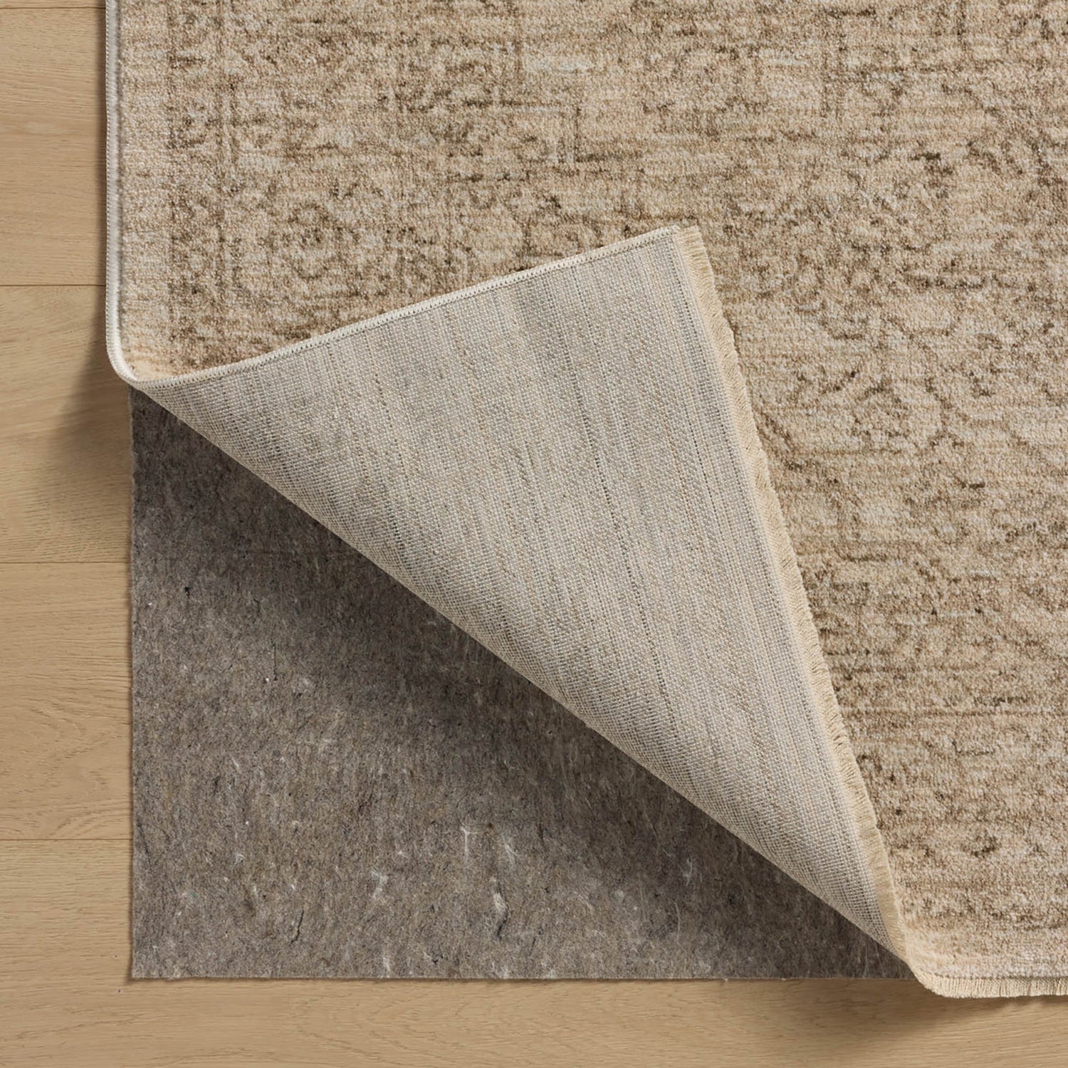 Loloi Newman Logan Power Loomed Rug