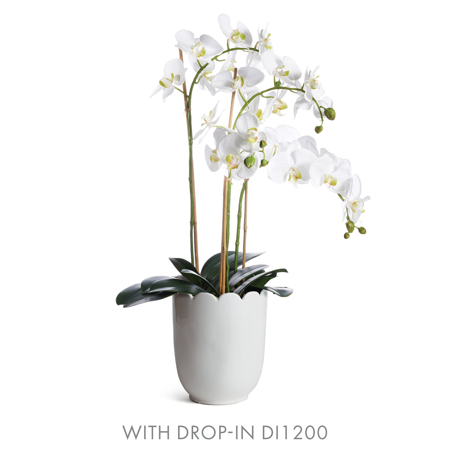 Mirabelle Scalloped Edge Cachepot