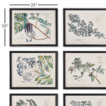Berry Branch Botanical Study Wall Art Set of 6