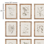 Botanical Illustrations Wall Art Set of 9