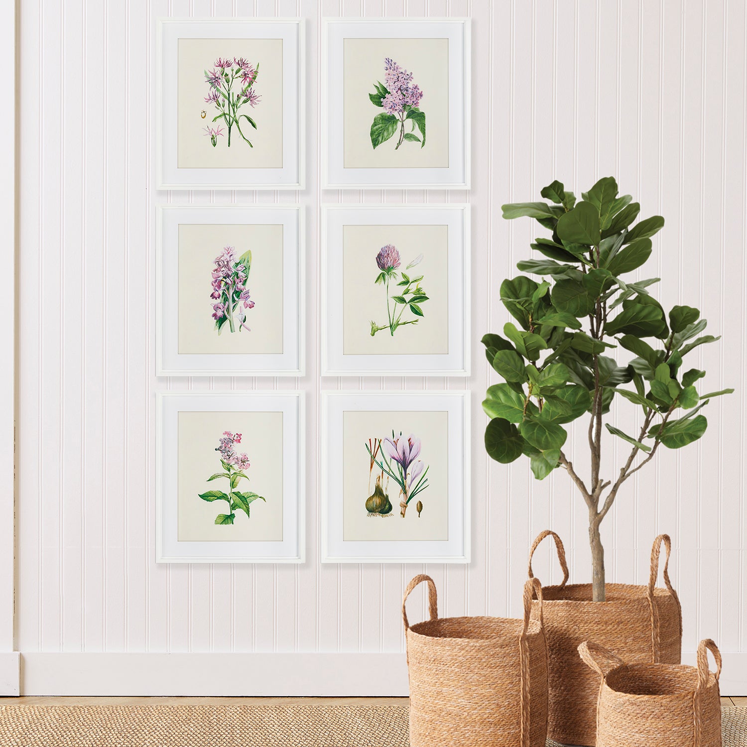 Flower Study Framed Print Set of 6