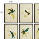 Hummingbird Print Wall Art Set of 6