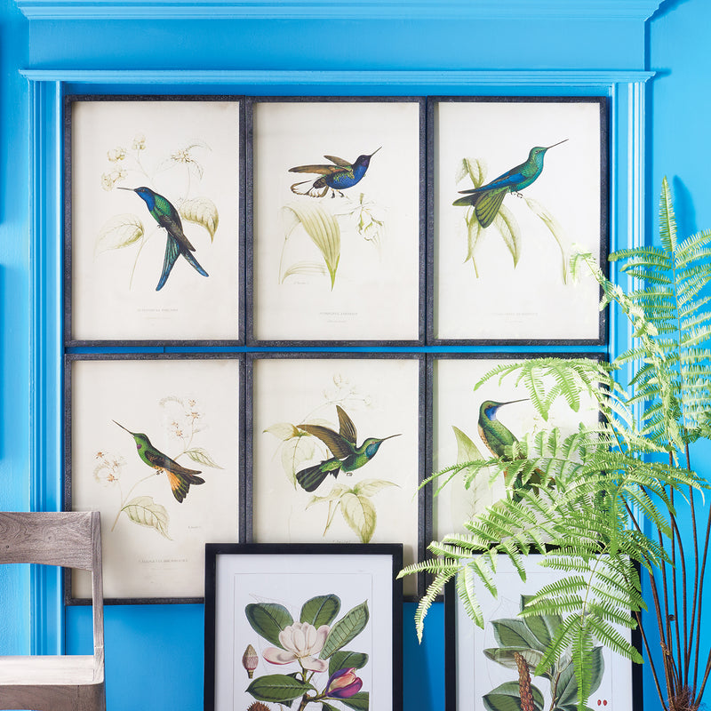 Hummingbird Print Wall Art Set of 6