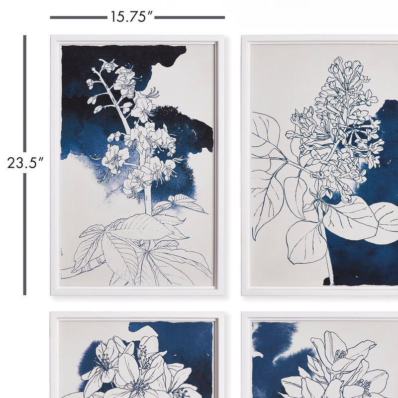 Studio Floral Sketches Wall Art Set of 4