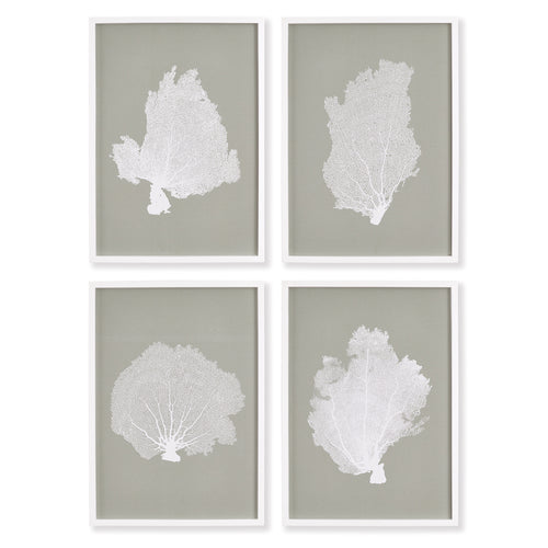 Coral Fans Wall Art Set of 4