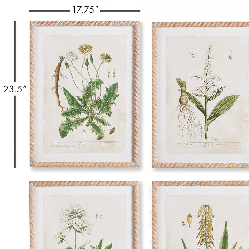 Botanical Study Pattern Vintage Botanical Study Wall Art Set of 4 – Paynes Gray
