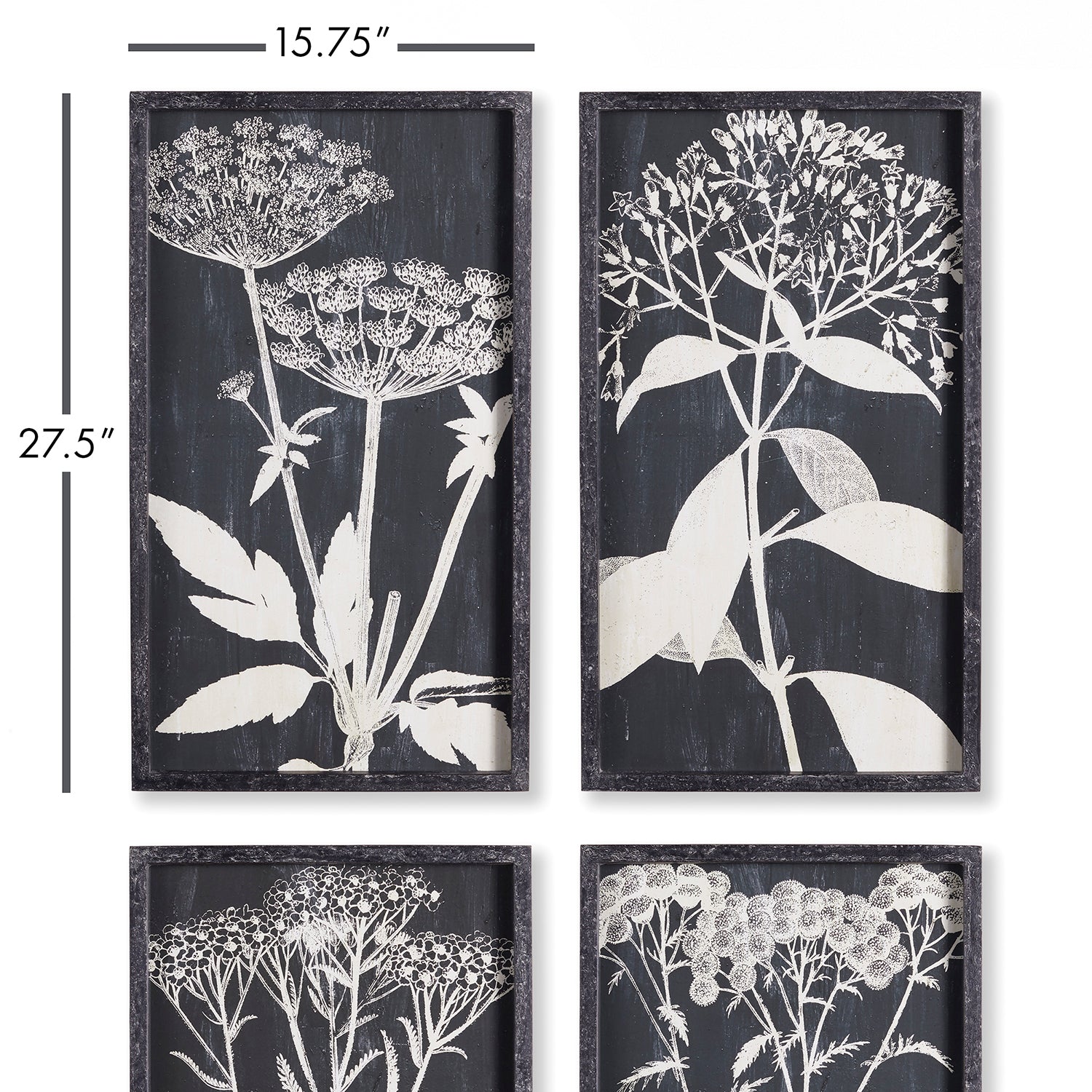 Monochrome Queen Annes Lace Wall Art Set of 4