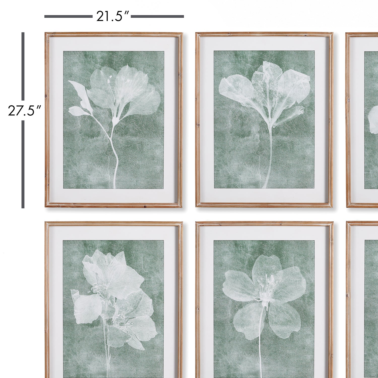 Translucent Floral Wall Art Set of 6