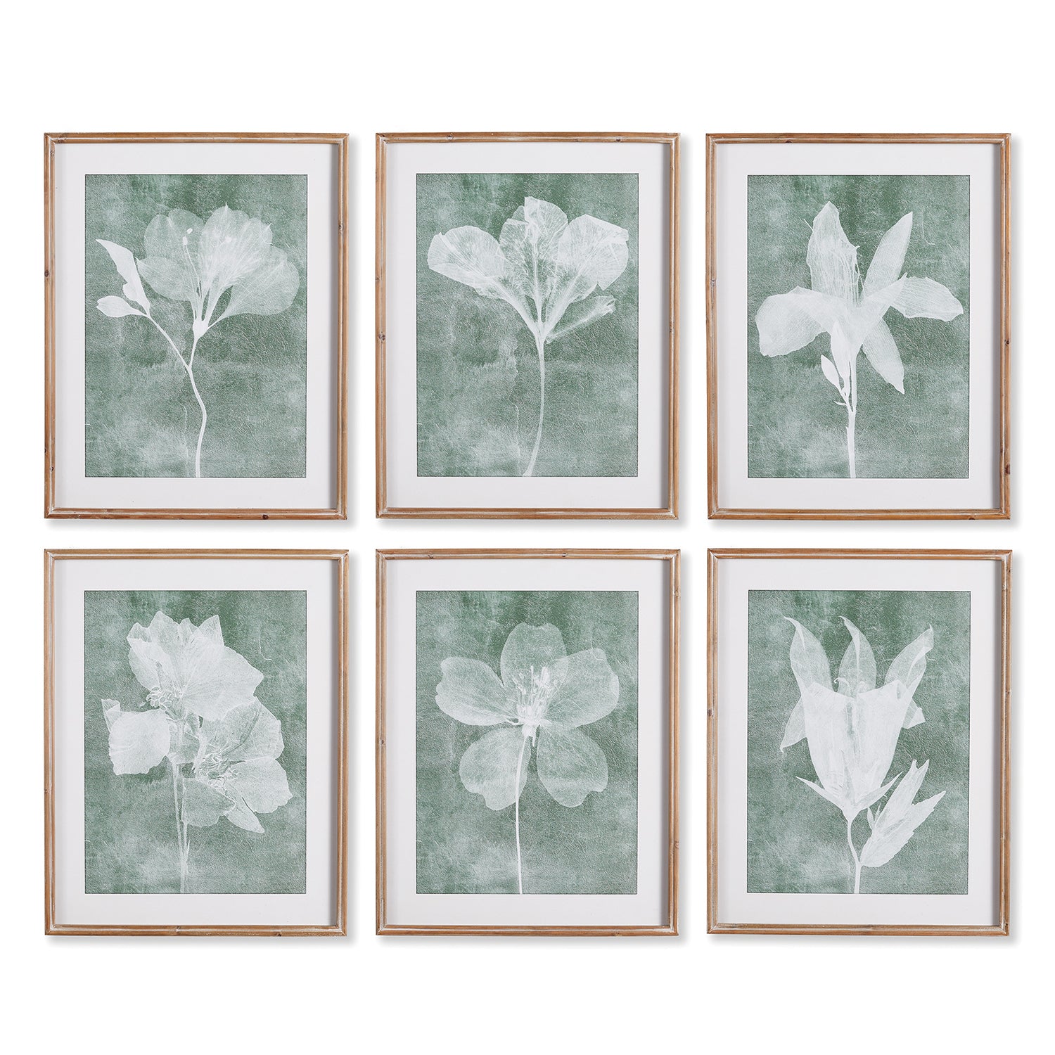 Translucent Floral Wall Art Set of 6