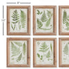 Forest Greenery Print Wall Art Set of 6