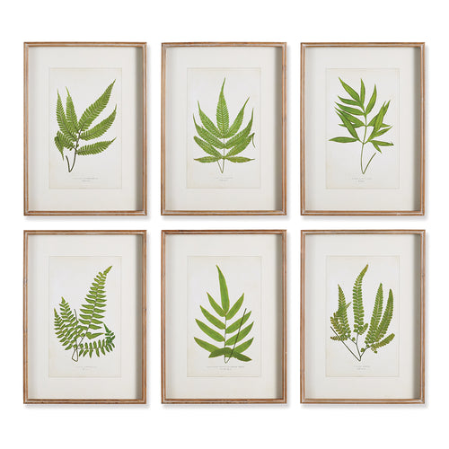 Forest Greenery Print Wall Art Set of 6